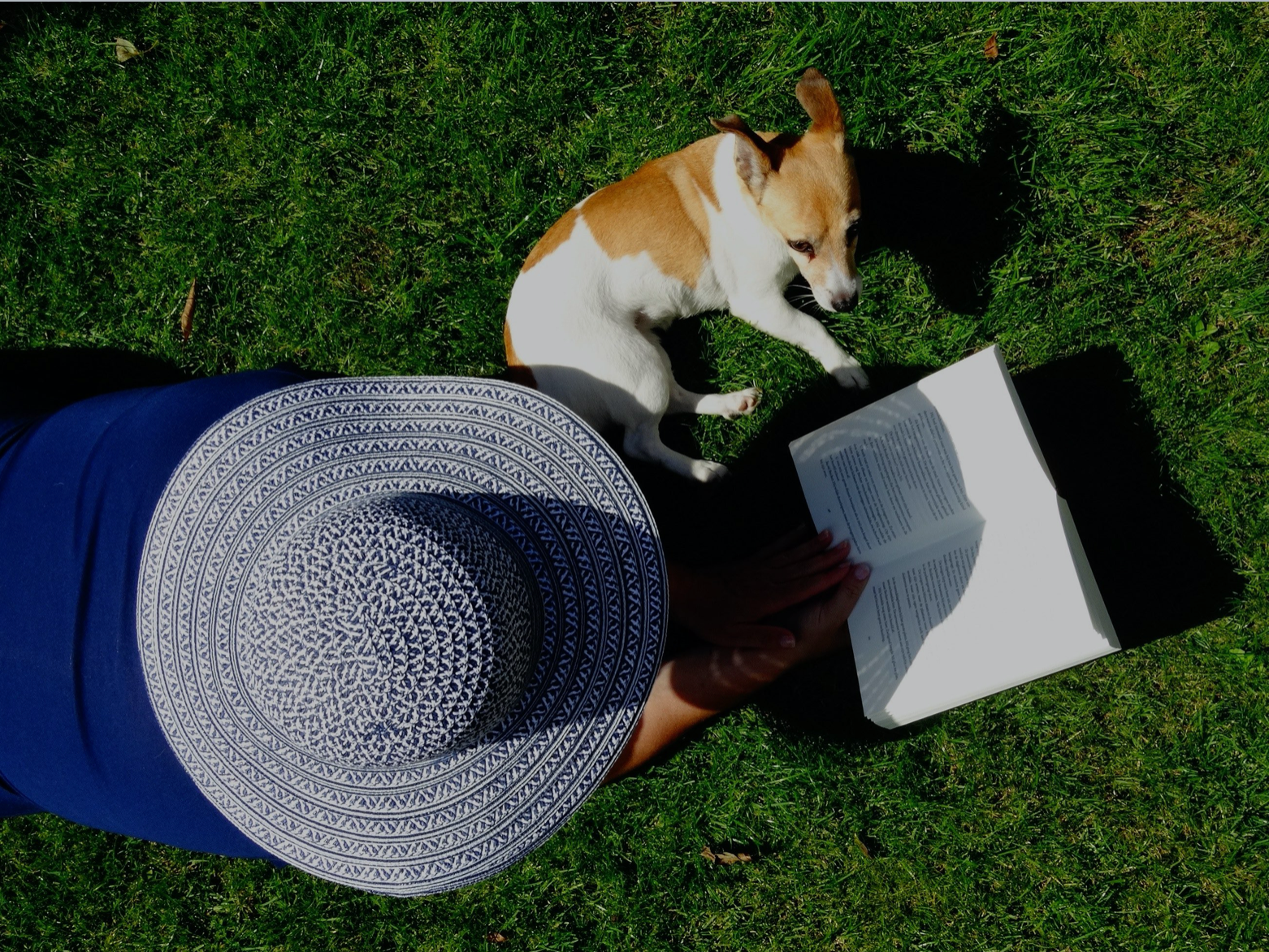 A female reading a book and relax in a park with her Jack Russell on a sunny day