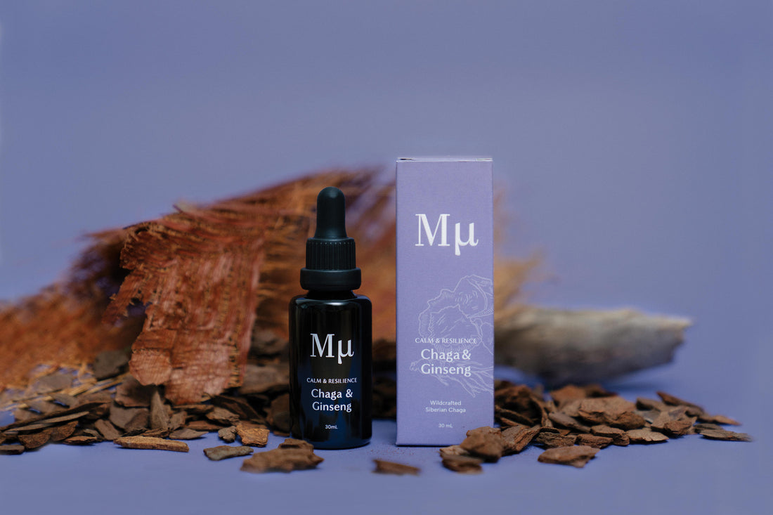 Calm & Resilience | Chaga and Ginseng Extract Tincture