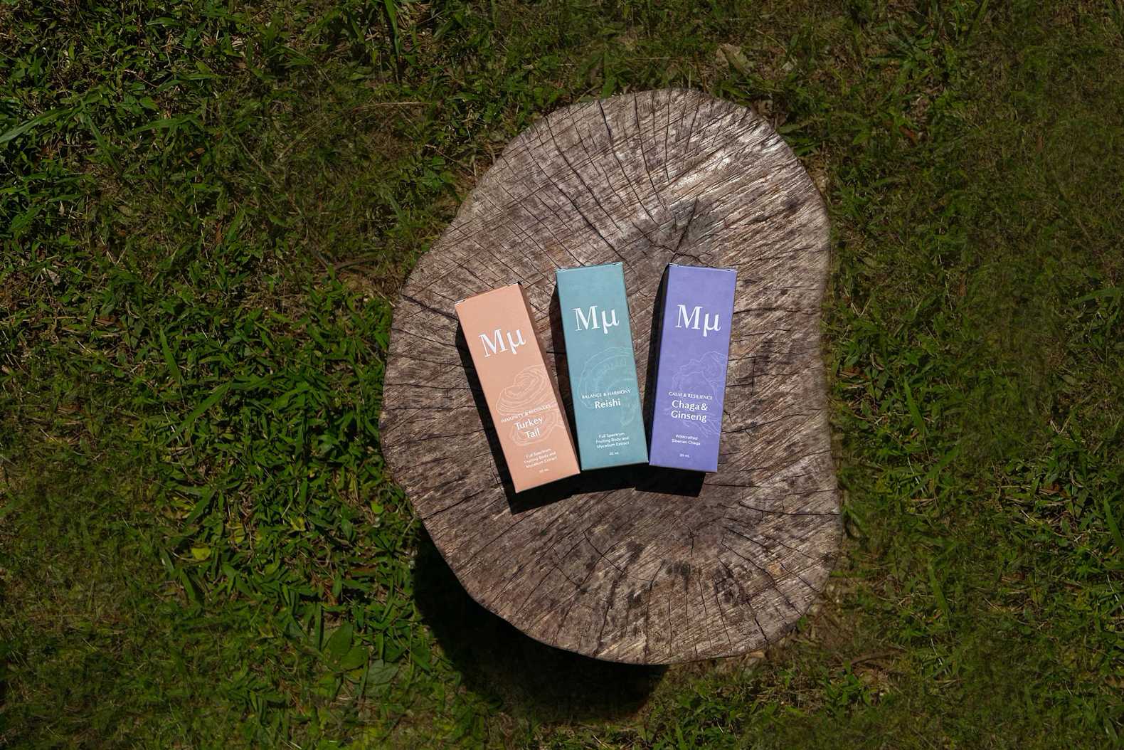 Stay Strong | Immune Boost, Gut Health, Anti-Stress