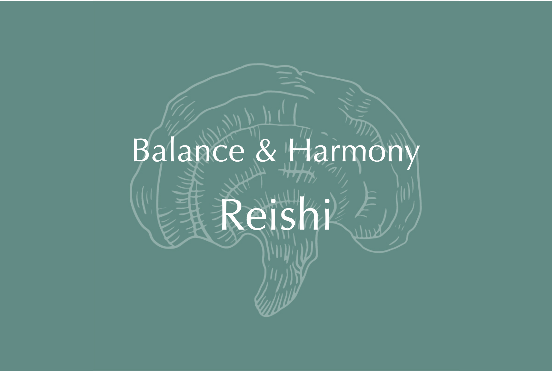 Reishi Balance and Harmony