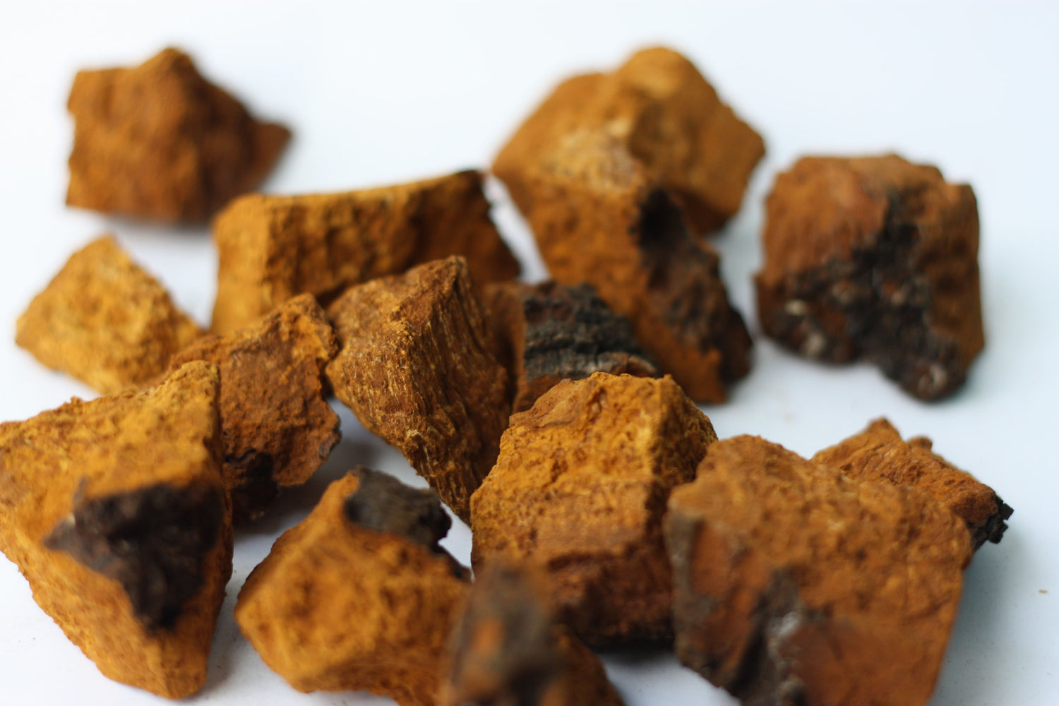 The Calming Power of Chaga: How This Mushroom Can Help Reduce Stress
