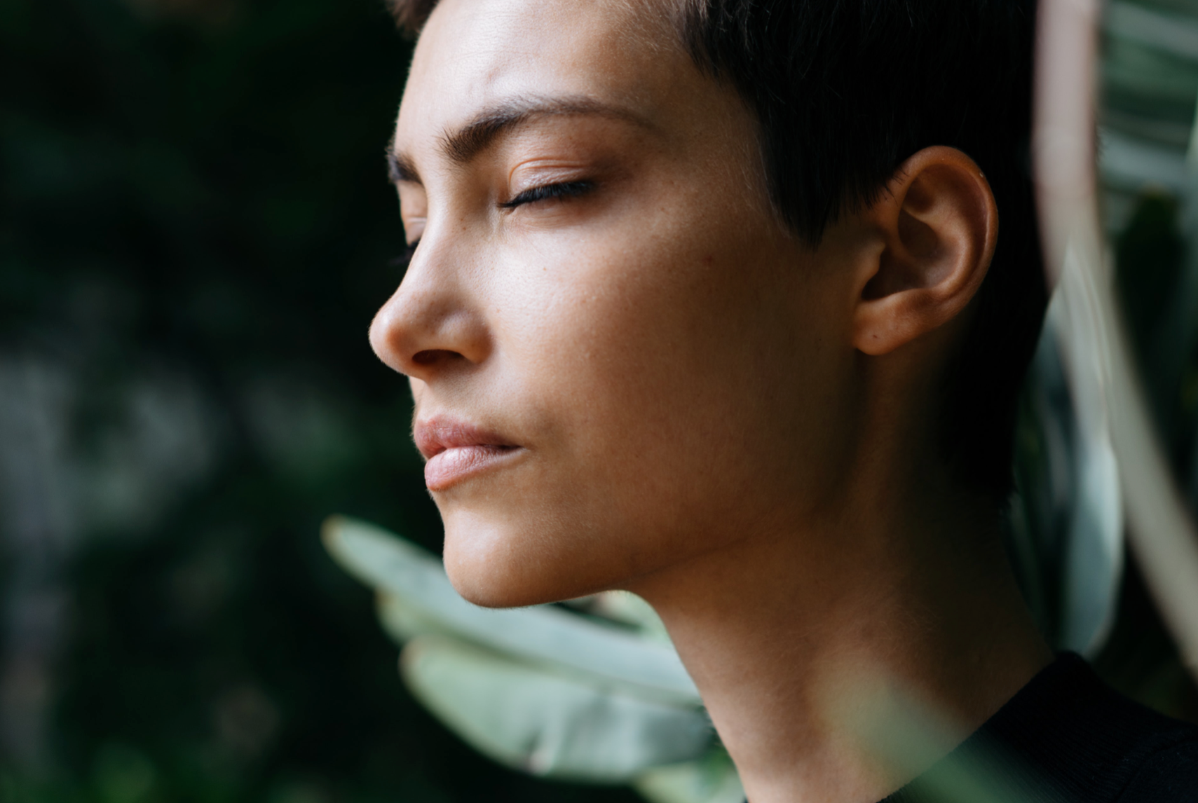 All Round Wellness | Whole Ritual – Mµ Vitality